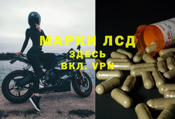 трава Арсеньев