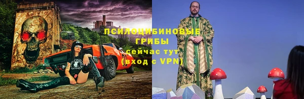 сатива Михайлов