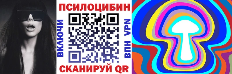 купить  сайты  Струнино  Галлюциногенные грибы мухоморы 